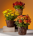 The FTD� Bright Harvest Basket