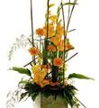 Arrangement of Cut Flowers