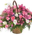 Arrangement in Pink