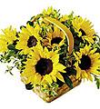 The FTD� Sunflower Basket