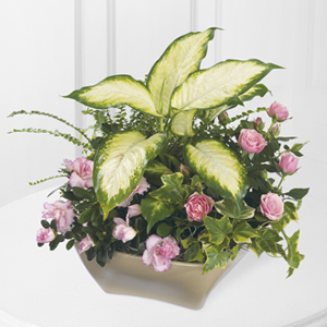 The FTD� Garden of Grace� Planter