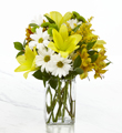Always You Lily & Daisy Bouquet with FREE Vase